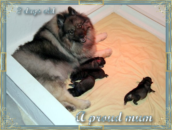 a-proud-mum.jpg