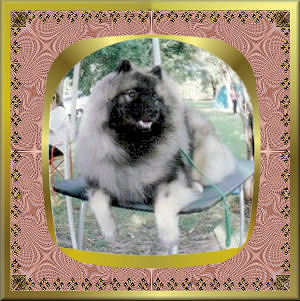 beau.jpg