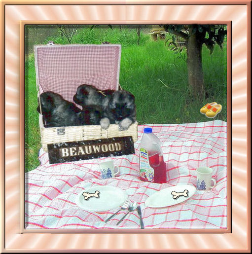 beauw_picnic.jpg