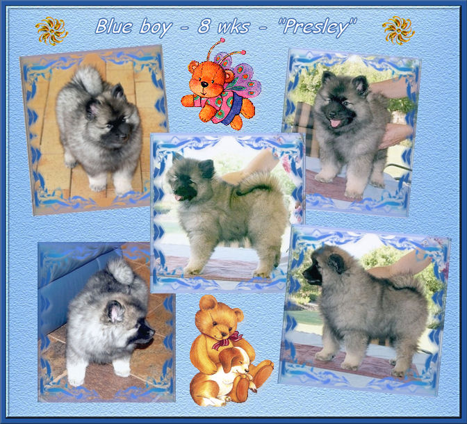 blue-8wks.jpg
