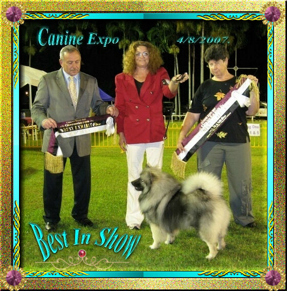 canine-expo-4-8-07.jpg