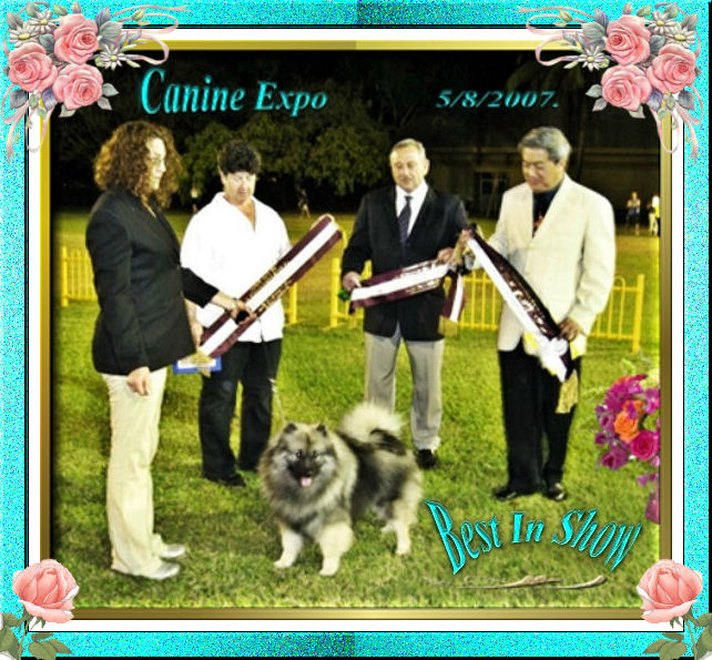 canine-expo-5-8-07.jpg