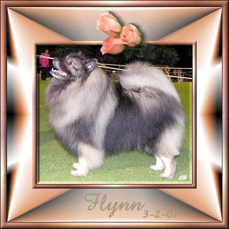 flynn-3-2-07.jpg