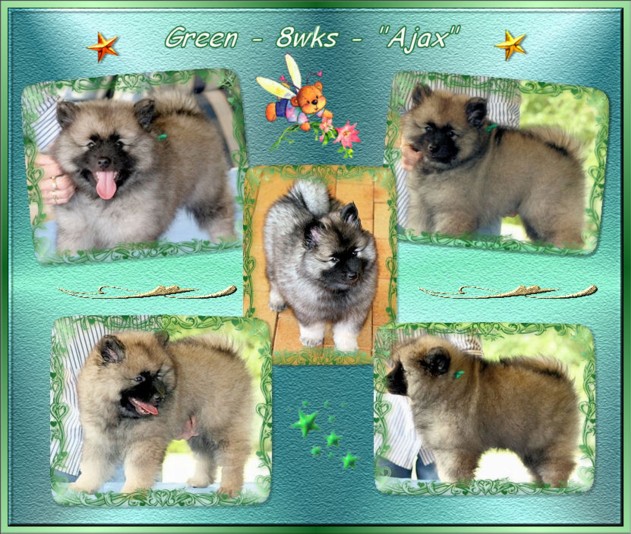 green-8wks.jpg