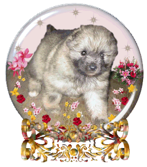 image14.gif