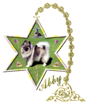 image4.gif