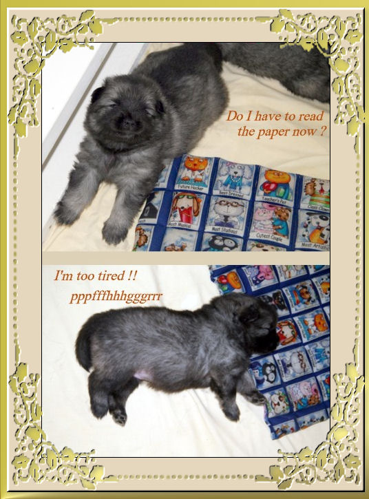 paper-reading.jpg