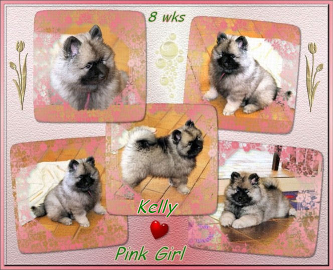 pink-8wks.jpg